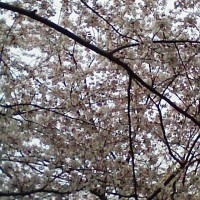 100416_120638 100416_120638